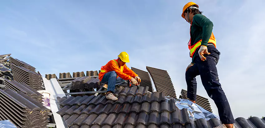 Professional Roofing Services in Albuquerque, NM